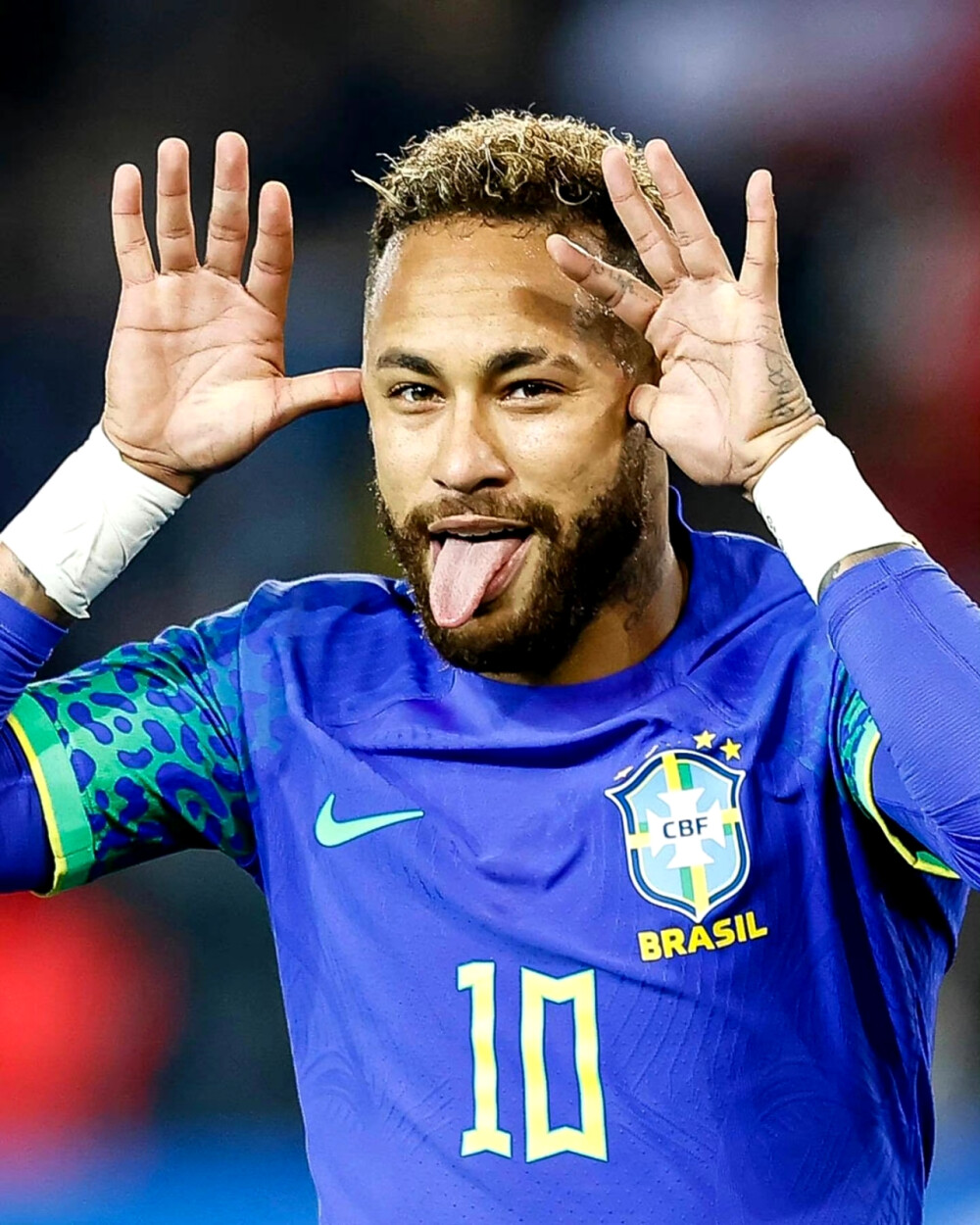 后者仍有提 后者仍有提