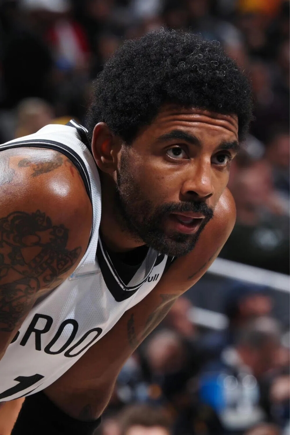 对于搜索 对于搜索